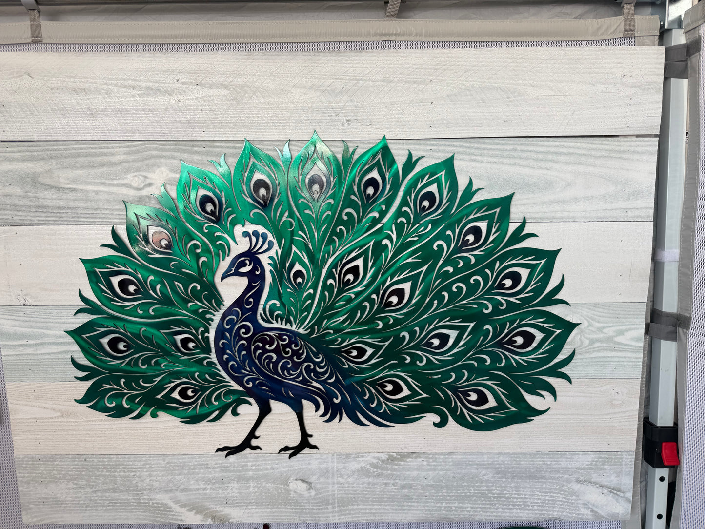 Peacock w/ background