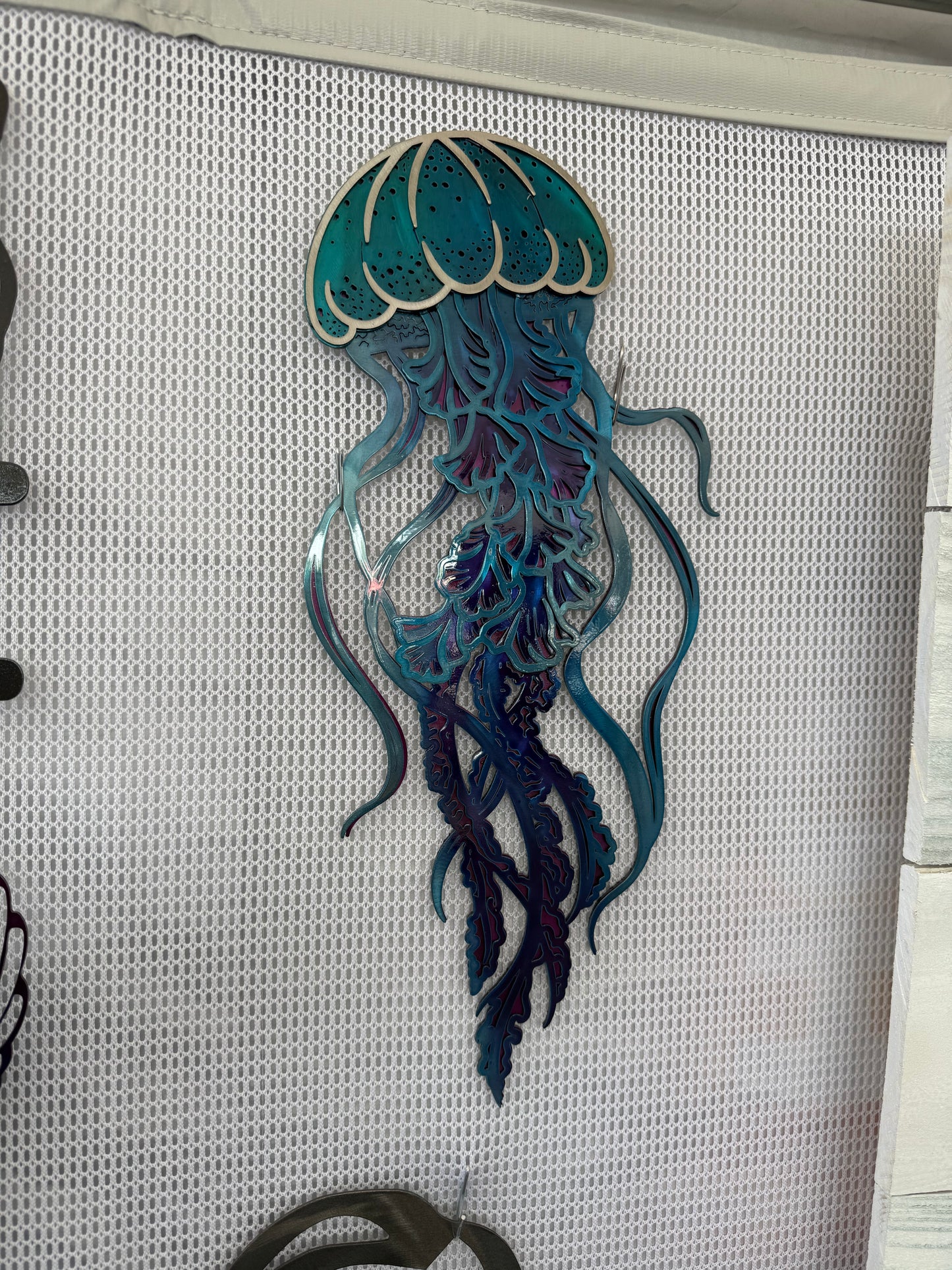 Jelly Fish