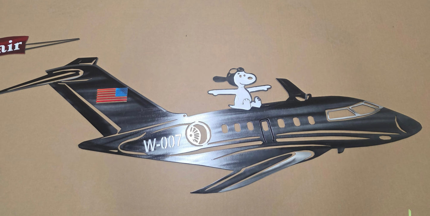 Custom- Snoopy's Lair plane