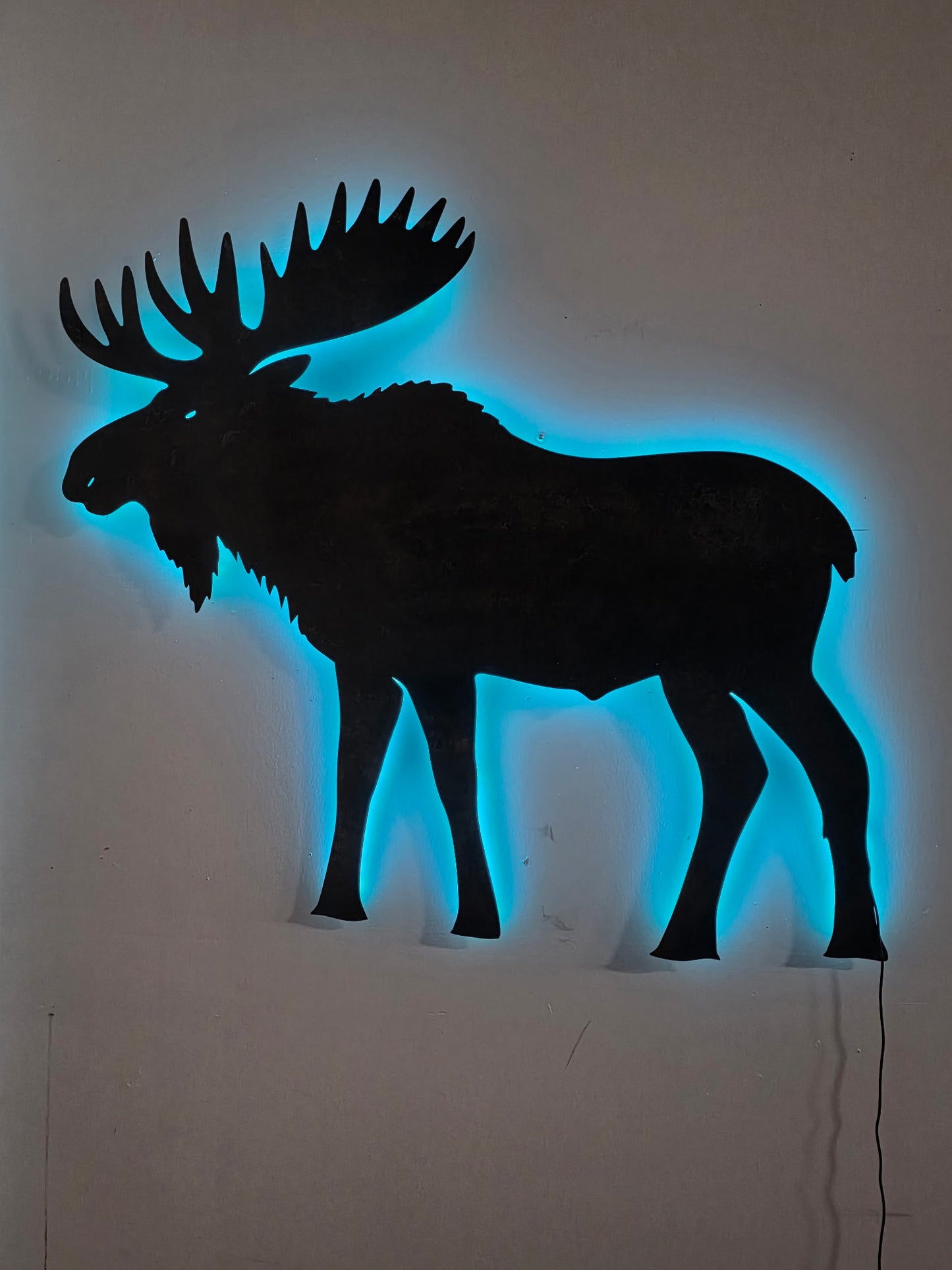 Moose