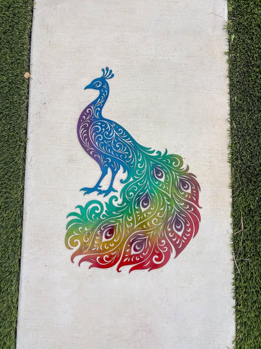 Peacock
