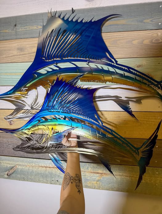 Sailfish
