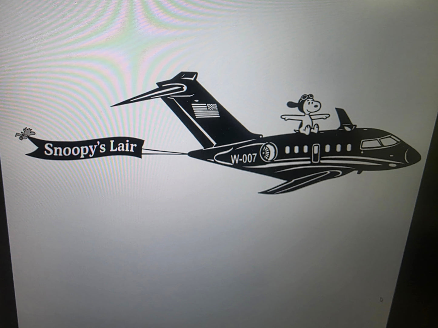 Custom- Snoopy's Lair plane
